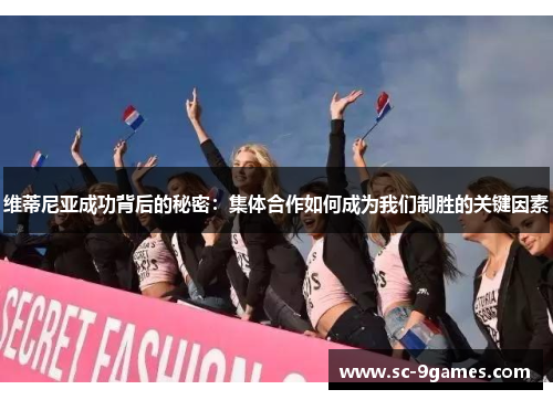 维蒂尼亚成功背后的秘密：集体合作如何成为我们制胜的关键因素