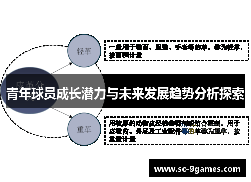 青年球员成长潜力与未来发展趋势分析探索